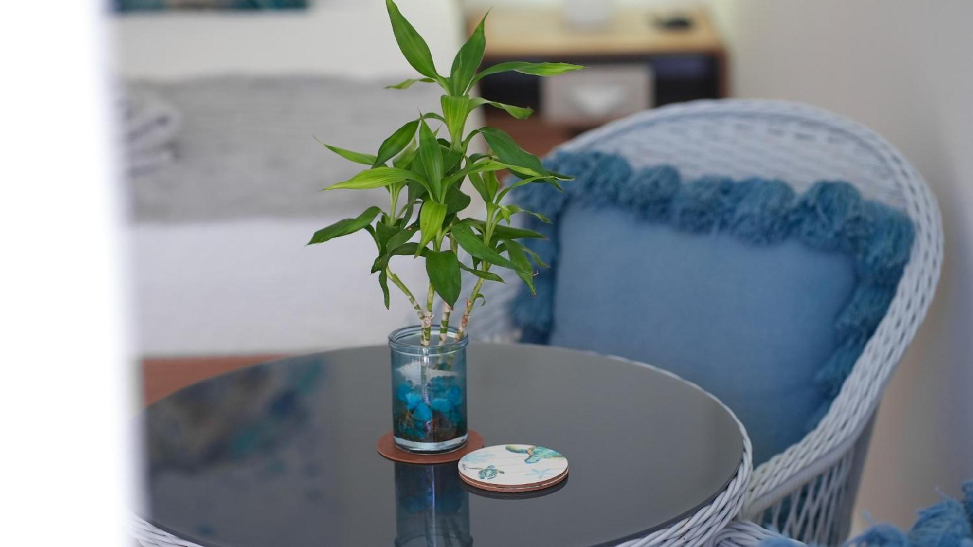 Seaturtle Apartment Pantai Clifton Luaran gambar
